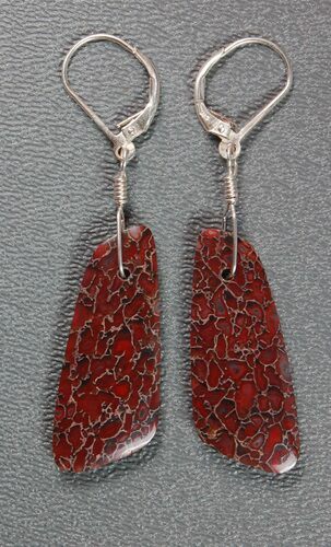 Rose Red Agatized Dinosaur Bone Earrings #5249